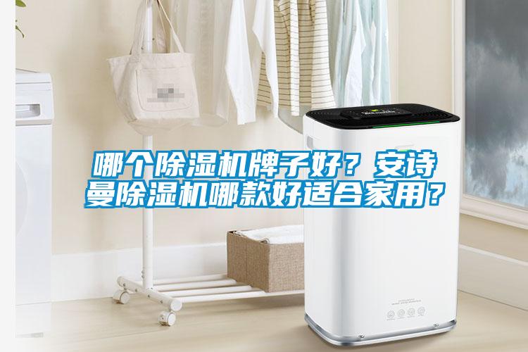 哪個除濕機牌子好？安詩曼除濕機哪款好適合家用？