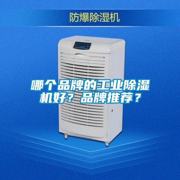 哪個品牌的工業(yè)除濕機好？品牌推薦？