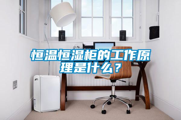 恒溫恒濕柜的工作原理是什么?