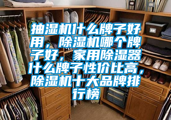 抽濕機(jī)什么牌子好用,除濕機(jī)哪個牌子好,家用除濕器什么牌子性價比高,除濕機(jī)十大品牌排行榜