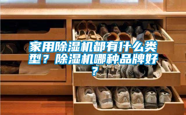 家用除濕機(jī)都有什么類型？除濕機(jī)哪種品牌好？