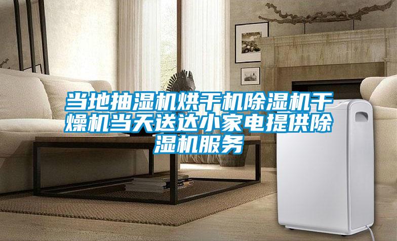 當地抽濕機烘干機除濕機干燥機當天送達小家電提供除濕機服務