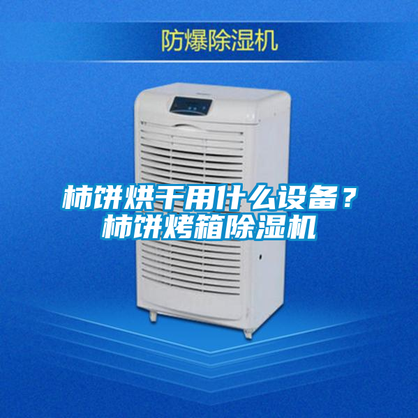 柿餅烘干用什么設備？柿餅烤箱除濕機