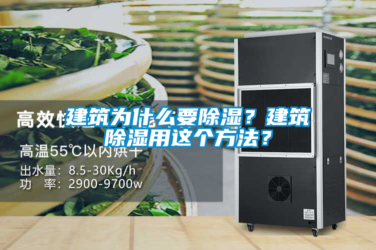 建筑為什么要除濕？建筑除濕用這個(gè)方法？