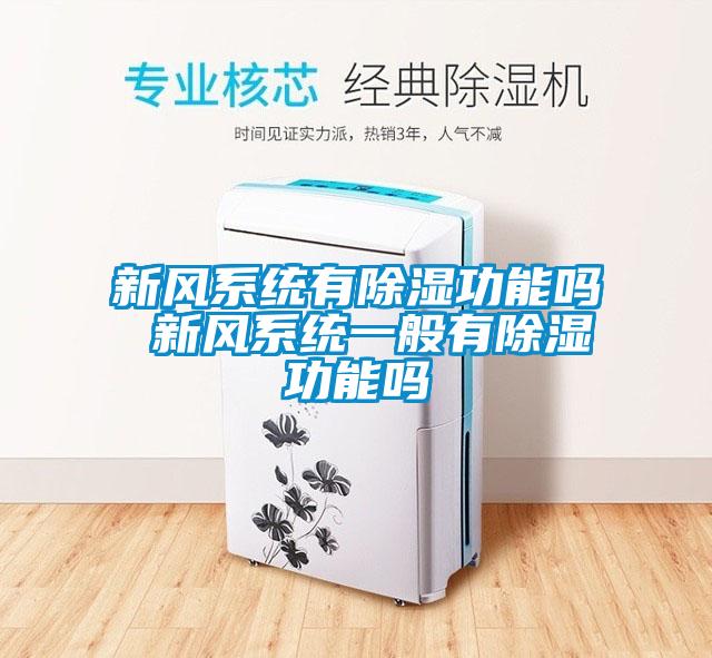 新風系統有除濕功能嗎 新風系統一般有除濕功能嗎