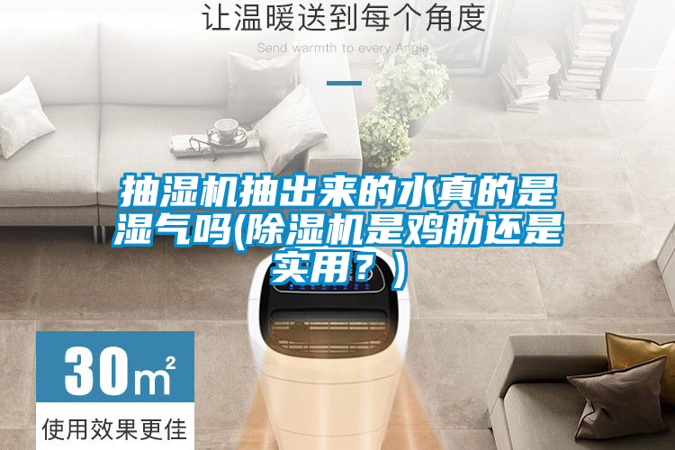 抽濕機抽出來的水真的是濕氣嗎(除濕機是雞肋還是實用？)