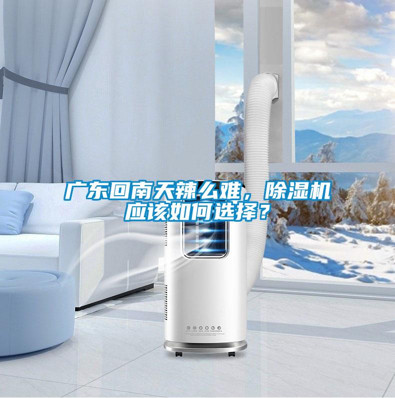 廣東回南天辣么難，除濕機(jī)應(yīng)該如何選擇？