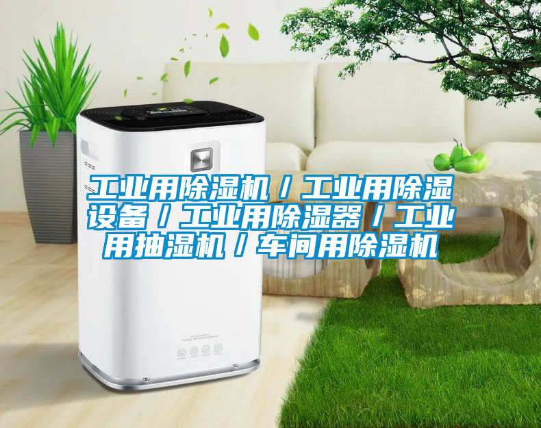 工業(yè)用除濕機(jī)/工業(yè)用除濕設(shè)備/工業(yè)用除濕器/工業(yè)用抽濕機(jī)/車間用除濕機(jī)