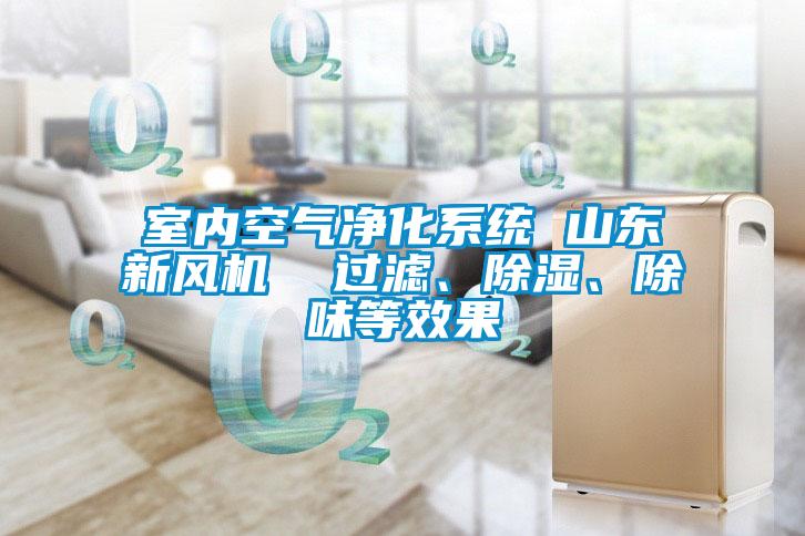 室內空氣凈化系統 山東新風機 過濾、除濕、除味等效果