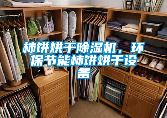 柿餅烘干除濕機,環保節能柿餅烘干設備