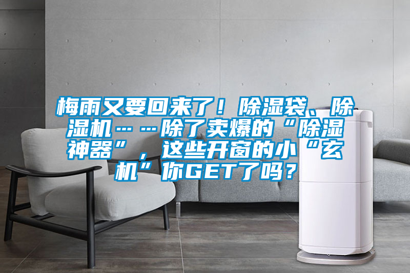 梅雨又要回來了！除濕袋、除濕機……除了賣爆的“除濕神器”，這些開窗的小“玄機”你GET了嗎？
