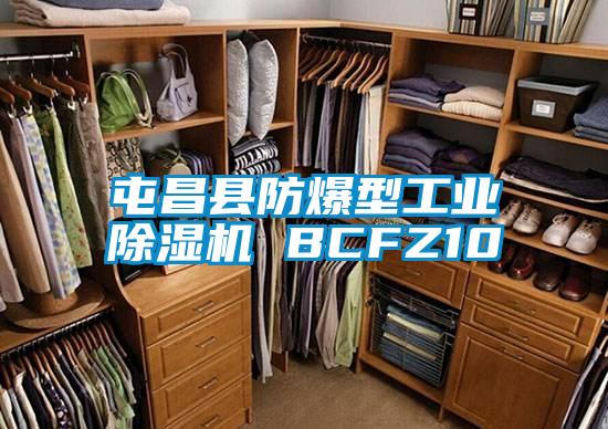 屯昌縣防爆型工業除濕機 BCFZ10