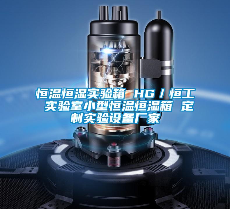 恒溫恒濕實驗箱 HG／恒工 實驗室小型恒溫恒濕箱 定制實驗設(shè)備廠家