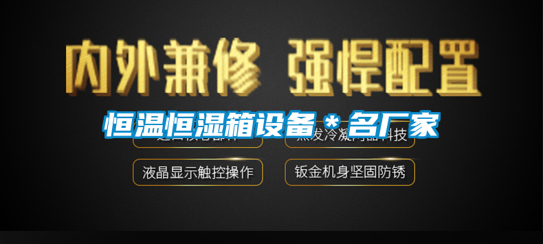 恒溫恒濕箱設備*名廠家