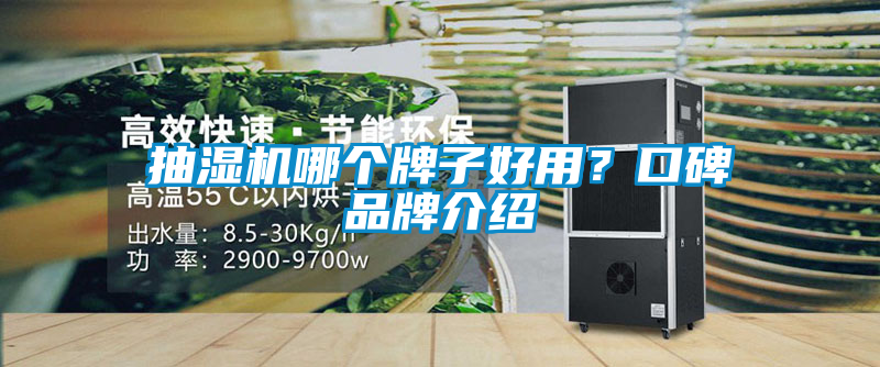抽濕機哪個牌子好用?口碑品牌介紹