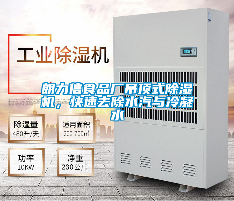 朗力信食品廠吊頂式除濕機(jī)，快速去除水汽與冷凝水