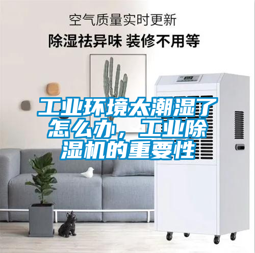工業環境太潮濕了怎么辦，工業除濕機的重要性