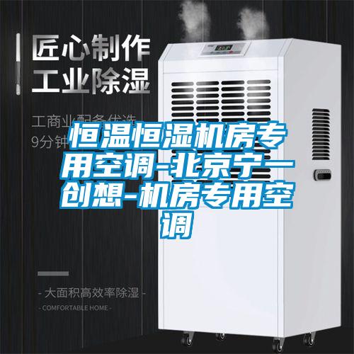 恒溫恒濕機房專用空調-北京寧一創想-機房專用空調