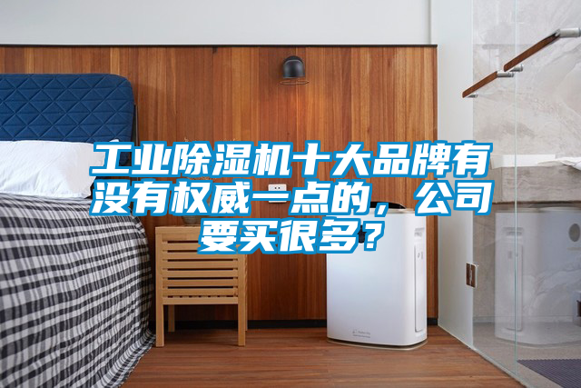 工業(yè)除濕機(jī)十大品牌有沒有權(quán)威一點(diǎn)的,公司要買很多?