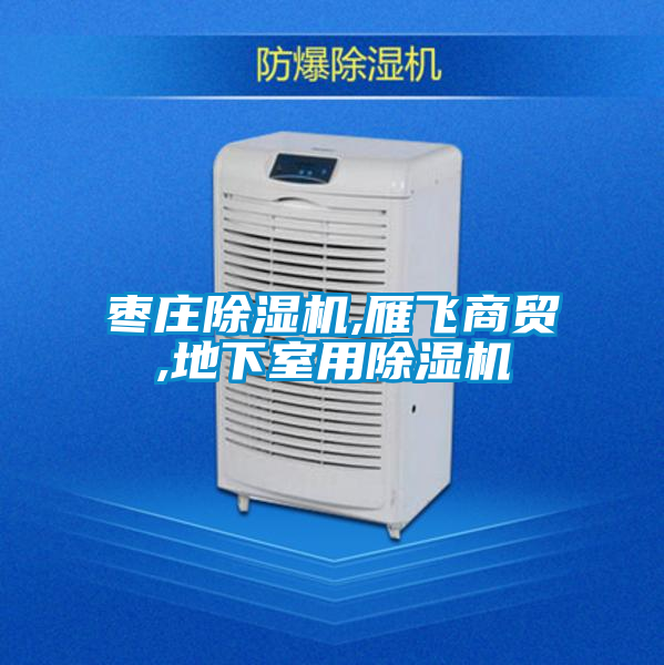 棗莊除濕機,雁飛商貿,地下室用除濕機