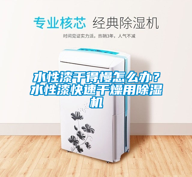 水性漆干得慢怎么辦？水性漆快速干燥用除濕機
