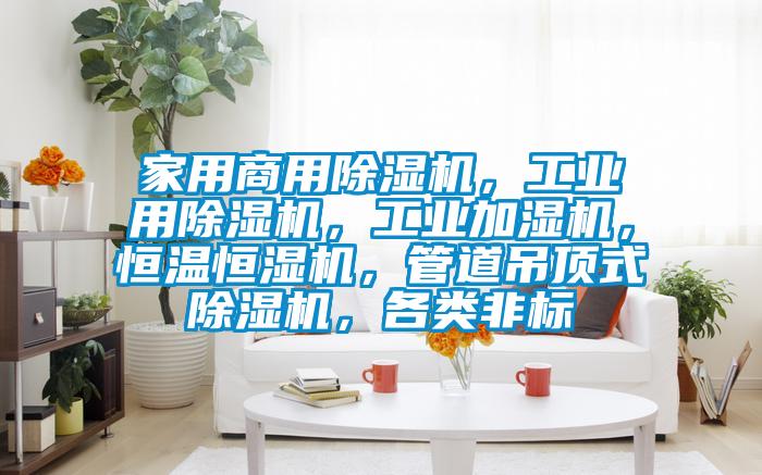 家用商用除濕機，工業(yè)用除濕機，工業(yè)加濕機，恒溫恒濕機，管道吊頂式除濕機，各類非標