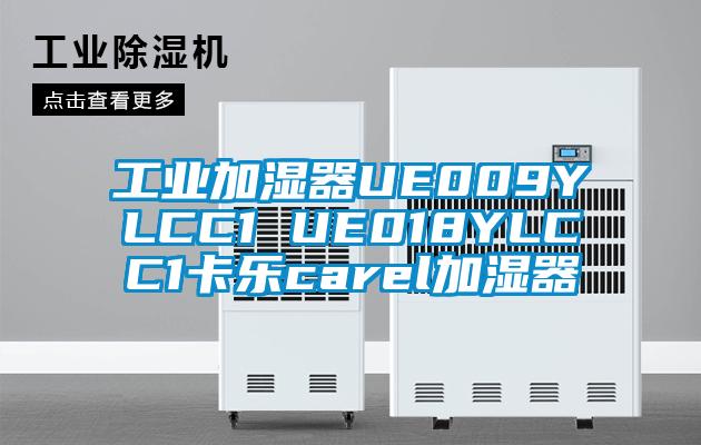 工業(yè)加濕器UE009YLCC1 UE018YLCC1卡樂(lè)carel加濕器