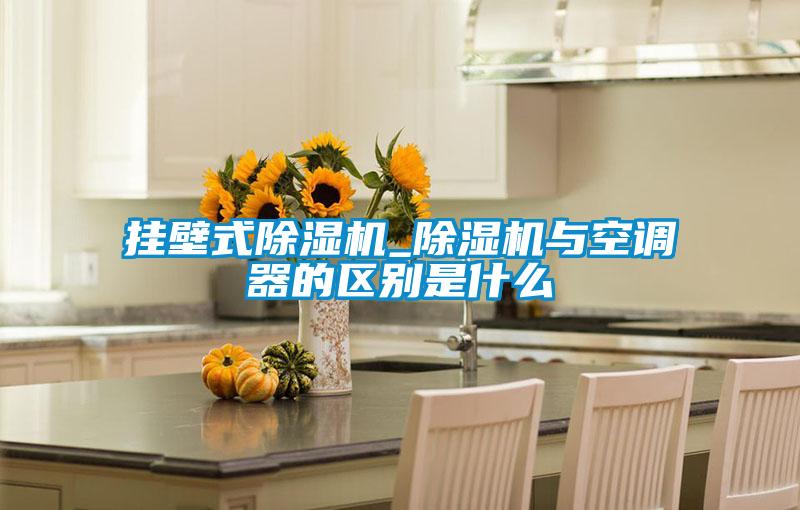 掛壁式除濕機_除濕機與空調器的區別是什么