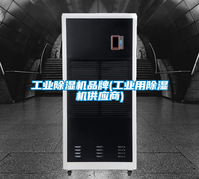 工業(yè)除濕機(jī)品牌(工業(yè)用除濕機(jī)供應(yīng)商)