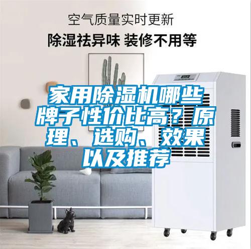 家用除濕機哪些牌子性價比高？原理、選購、效果以及推薦