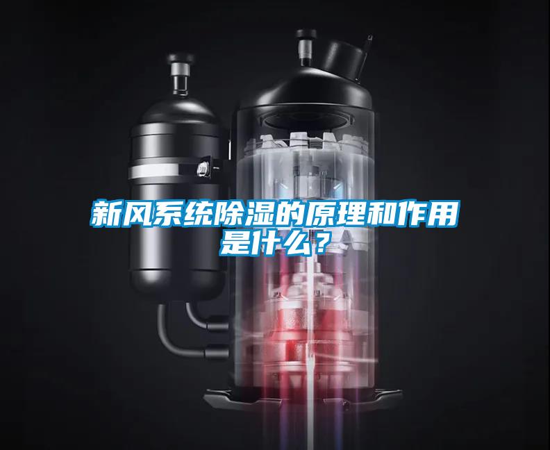 新風系統除濕的原理和作用是什么?