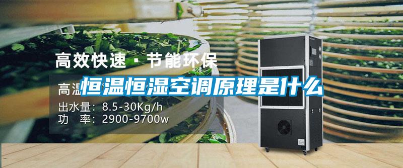 恒溫恒濕空調原理是什么