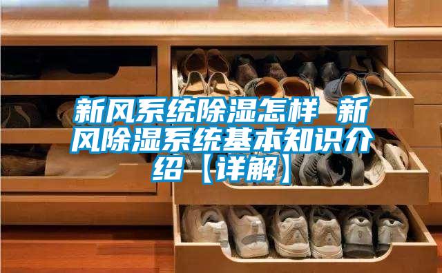 新風系統(tǒng)除濕怎樣 新風除濕系統(tǒng)基本知識介紹【詳解】