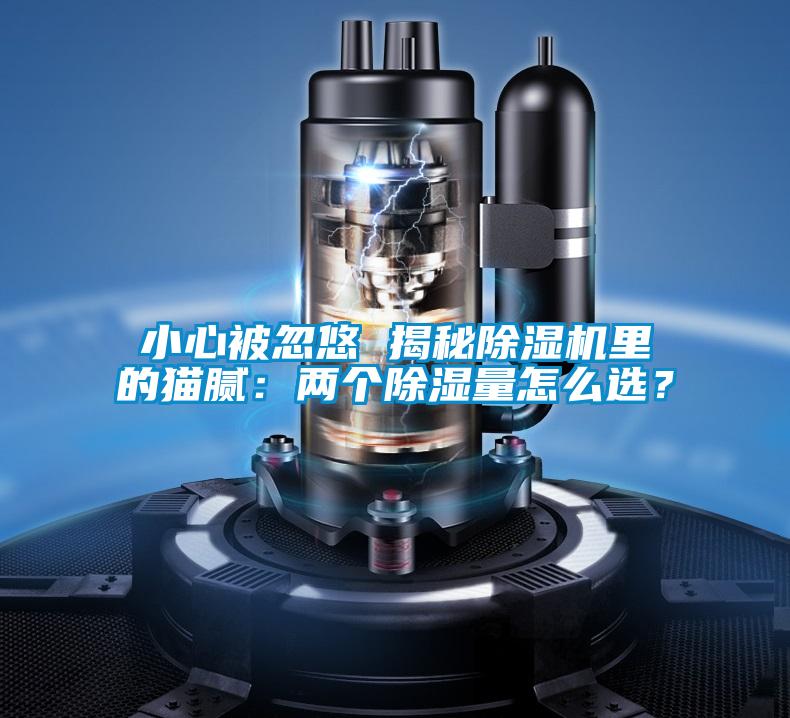 小心被忽悠 揭秘除濕機里的貓膩:兩個除濕量怎么選?