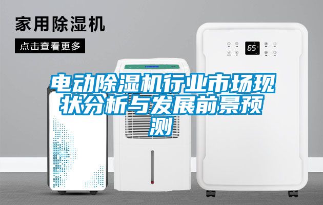 電動除濕機行業(yè)市場現(xiàn)狀分析與發(fā)展前景預(yù)測