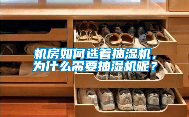 機房如何選著抽濕機，為什么需要抽濕機呢？