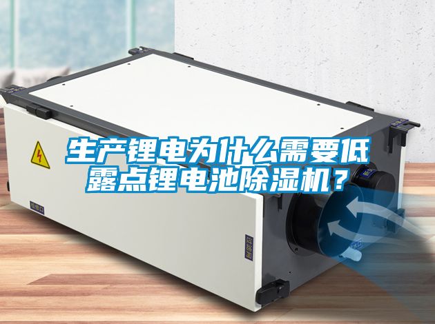 生產(chǎn)鋰電為什么需要低露點鋰電池除濕機？