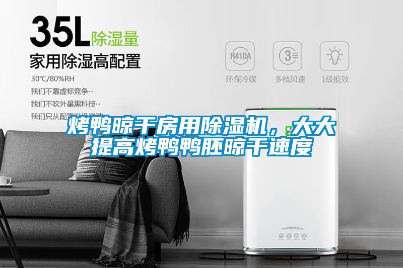 烤鴨晾干房用除濕機，大大提高烤鴨鴨胚晾干速度