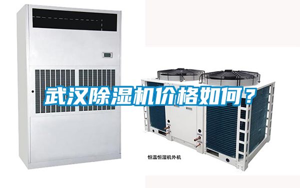 武漢除濕機價格如何？