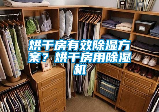 烘干房有效除濕方案？烘干房用除濕機