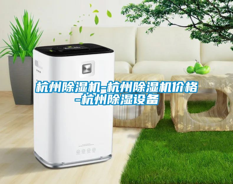 杭州除濕機(jī)-杭州除濕機(jī)價格-杭州除濕設(shè)備