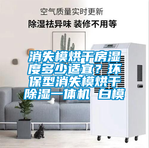 消失模烘干房濕度多少適宜?環保型消失模烘干除濕一體機 白模