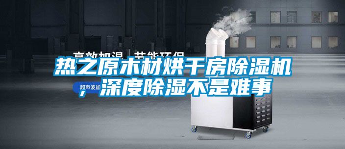 熱之原木材烘干房除濕機,深度除濕不是難事