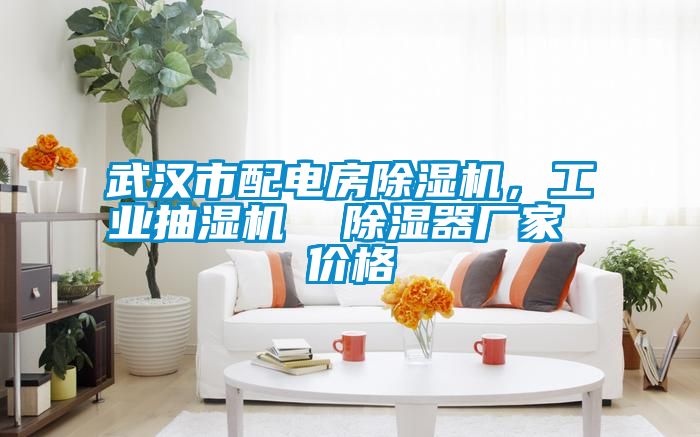 武漢市配電房除濕機,工業(yè)抽濕機 除濕器廠家 價格