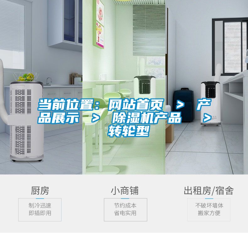 當前位置:網站首頁 > 產品展示 > 除濕機產品 > 轉輪型