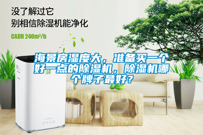 海景房濕度大,準備買一個好一點的除濕機,除濕機哪個牌子最好?