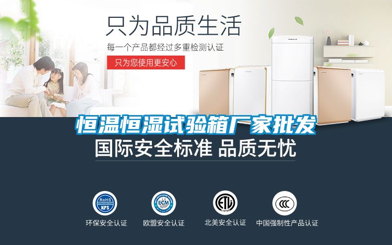 恒溫恒濕試驗箱廠家批發
