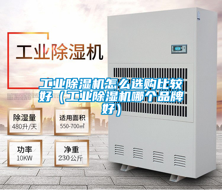 工業除濕機怎么選購比較好(工業除濕機哪個品牌好)