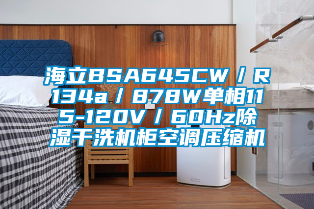 海立BSA645CW／R134a／878W單相115-120V／60Hz除濕干洗機柜空調壓縮機