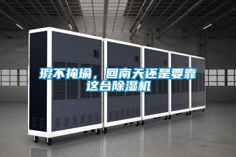 瑕不掩瑜,回南天還是要靠這臺除濕機